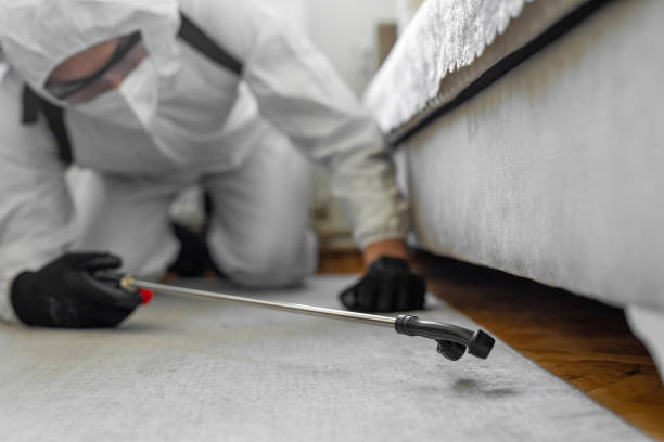 Professional Emergency Pest Control technician working in East Falmouth, MA