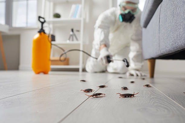 Trusted Fumigation Services service in East Falmouth, MA - Nex Pest Control