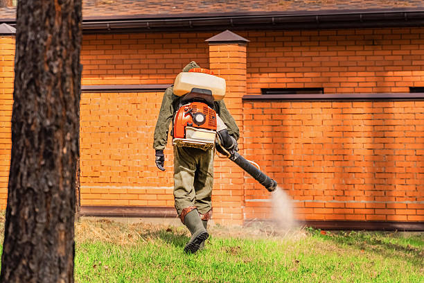 Trusted Rodent Control service in East Falmouth, MA - Nex Pest Control
